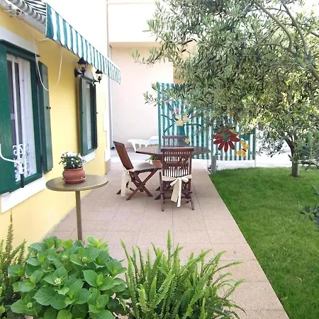 Apartment Vedran Blace