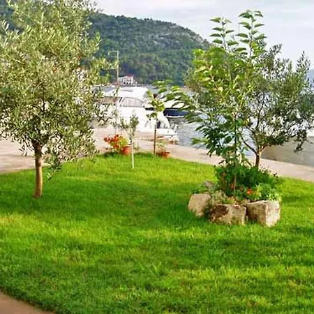 Vedran