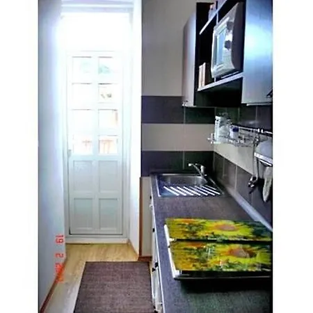 Apartment Vedran Blace